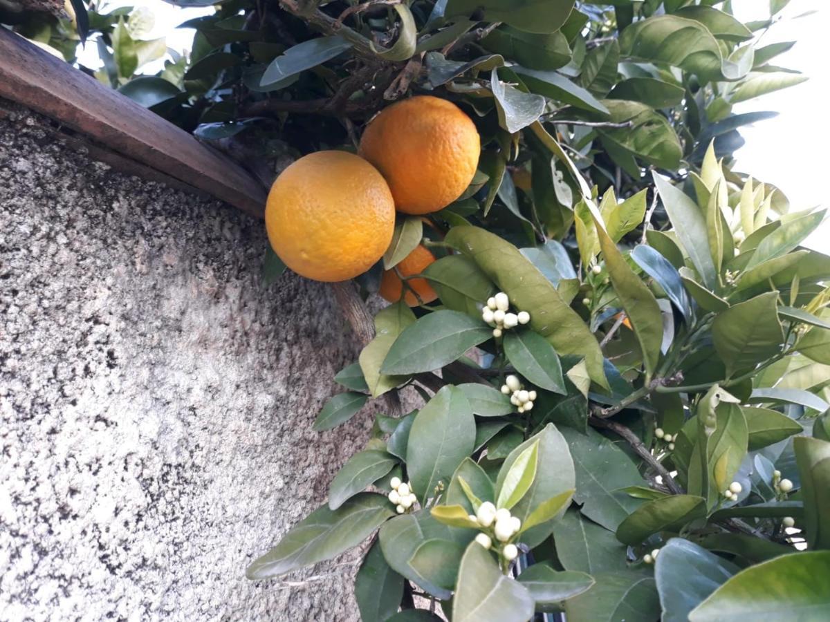 Experience Unique Dans Un Lieu Magique Ξενοδοχείο Vergèze Εξωτερικό φωτογραφία